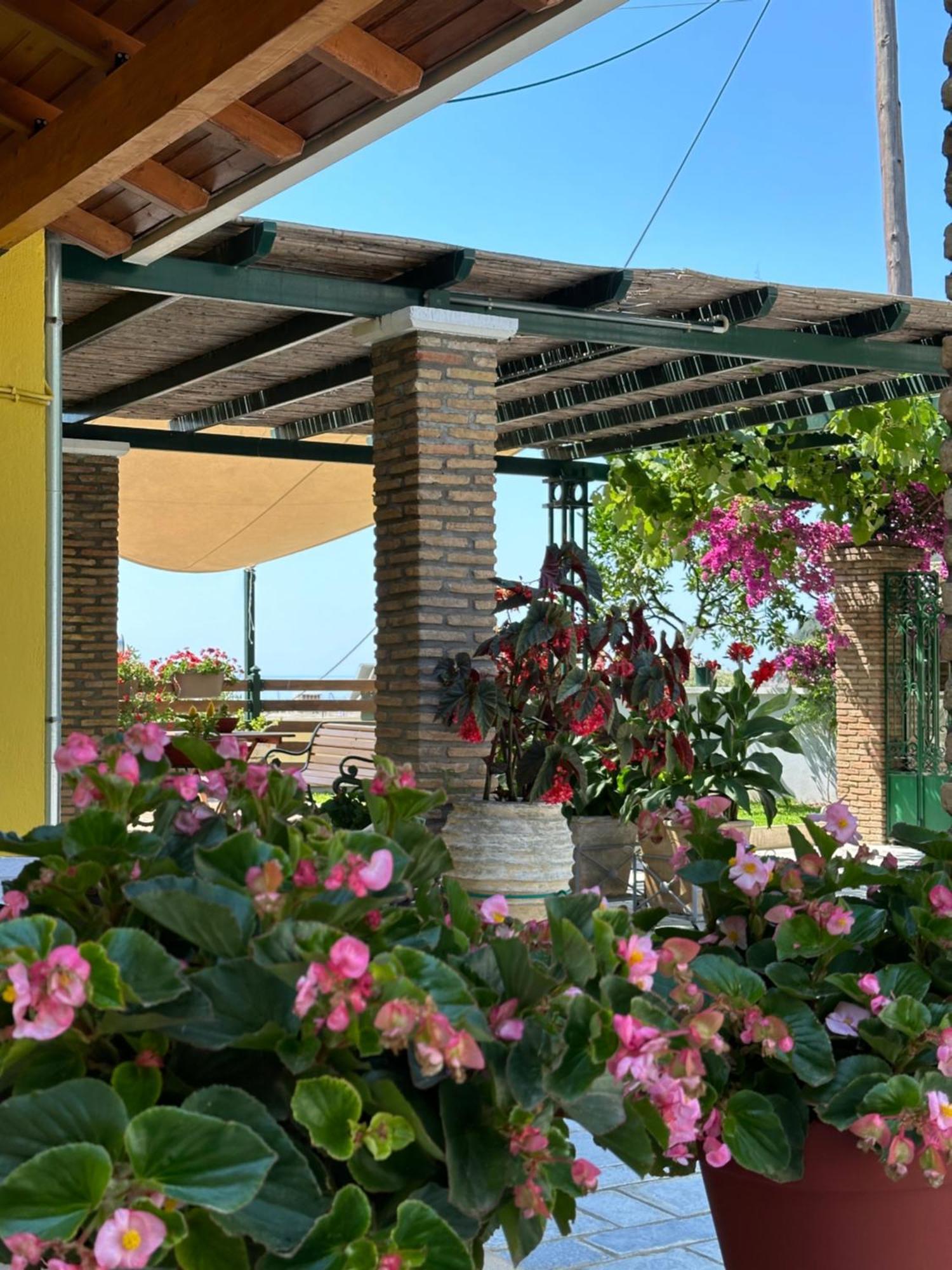 Villa Sofia Parga Extérieur photo